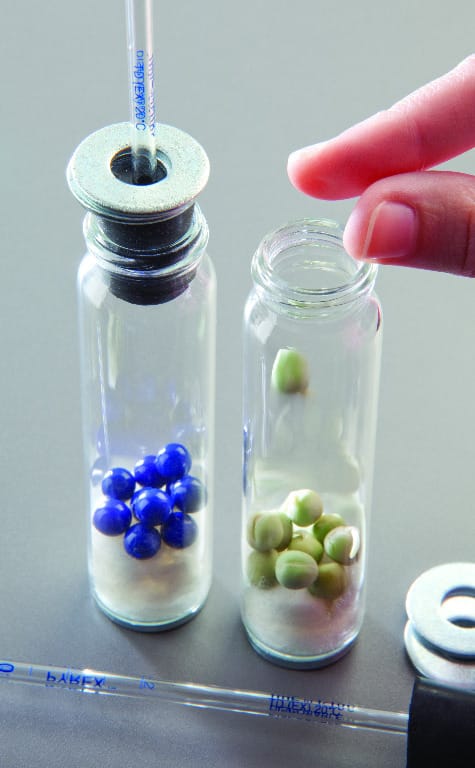 Ward's® AP Biology Investigation 6: Cell Processes: Cellular Respiration