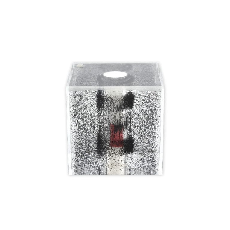 Magnetic Field Viewer, with Magnet