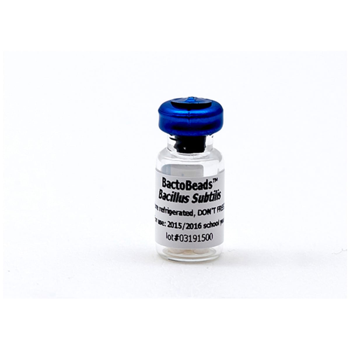 Edvotek BactoBeads™ Lyophilized Bacteria
