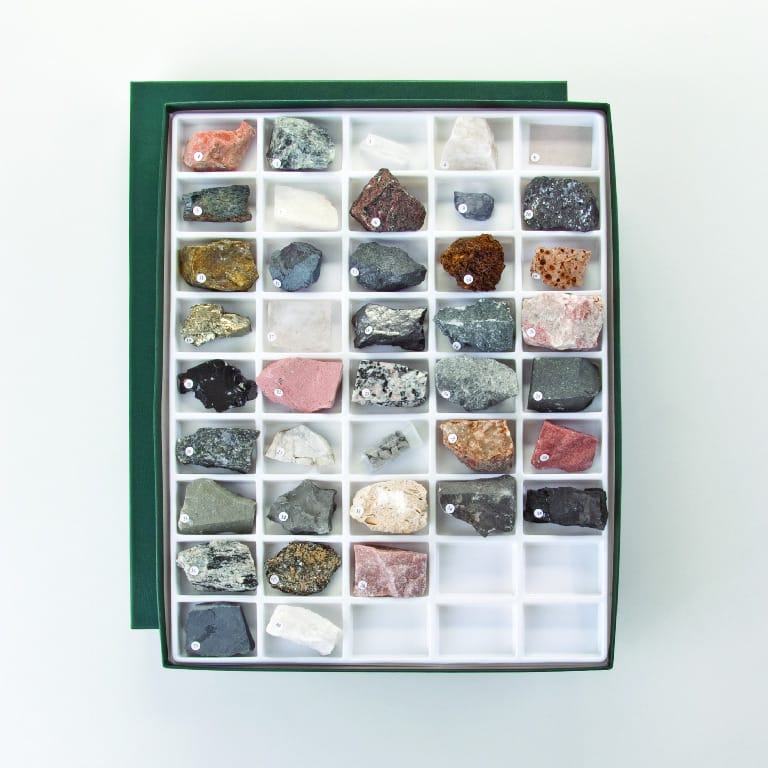 Washington School Collection