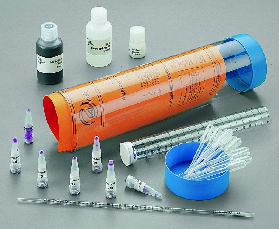 Polymerase Chain Reaction (PCR) Simulation Kit
