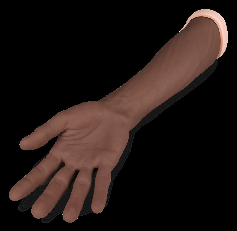 3B Scientific® Suture Practice Arm