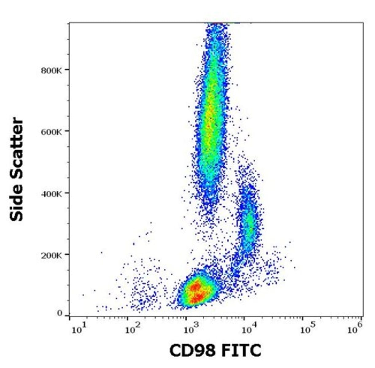 Anti-CD98 Mouse Monoclonal Antibody [clone: MEM-108] (FITC (Fluorescein ...