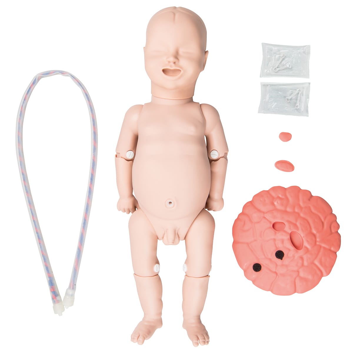 3B Scientific® Birthing Simulators
