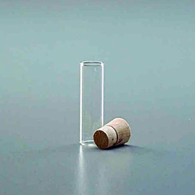 Shell Vials with Corks