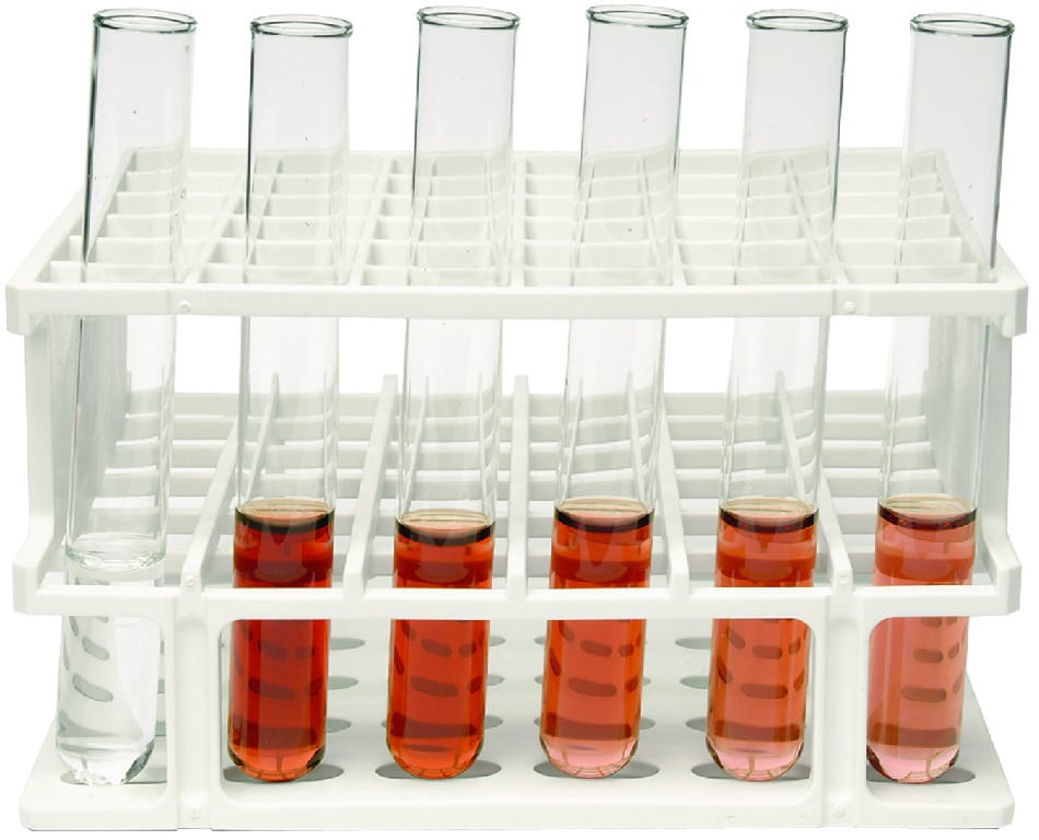 Enzyme Catalysis Lab Activity