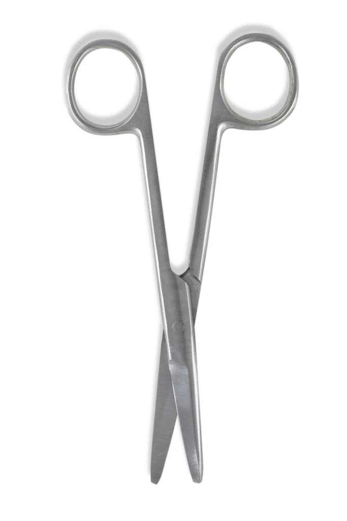 Surgical Style Scissors