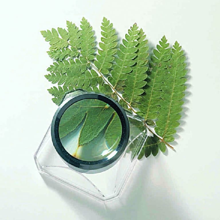 Deluxe Box Magnifier