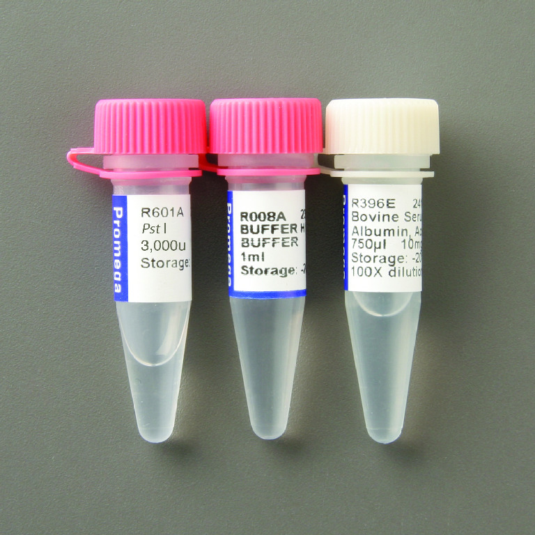 Pst I, Restriction Enzymes