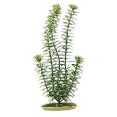 Marina® Artificial Plants