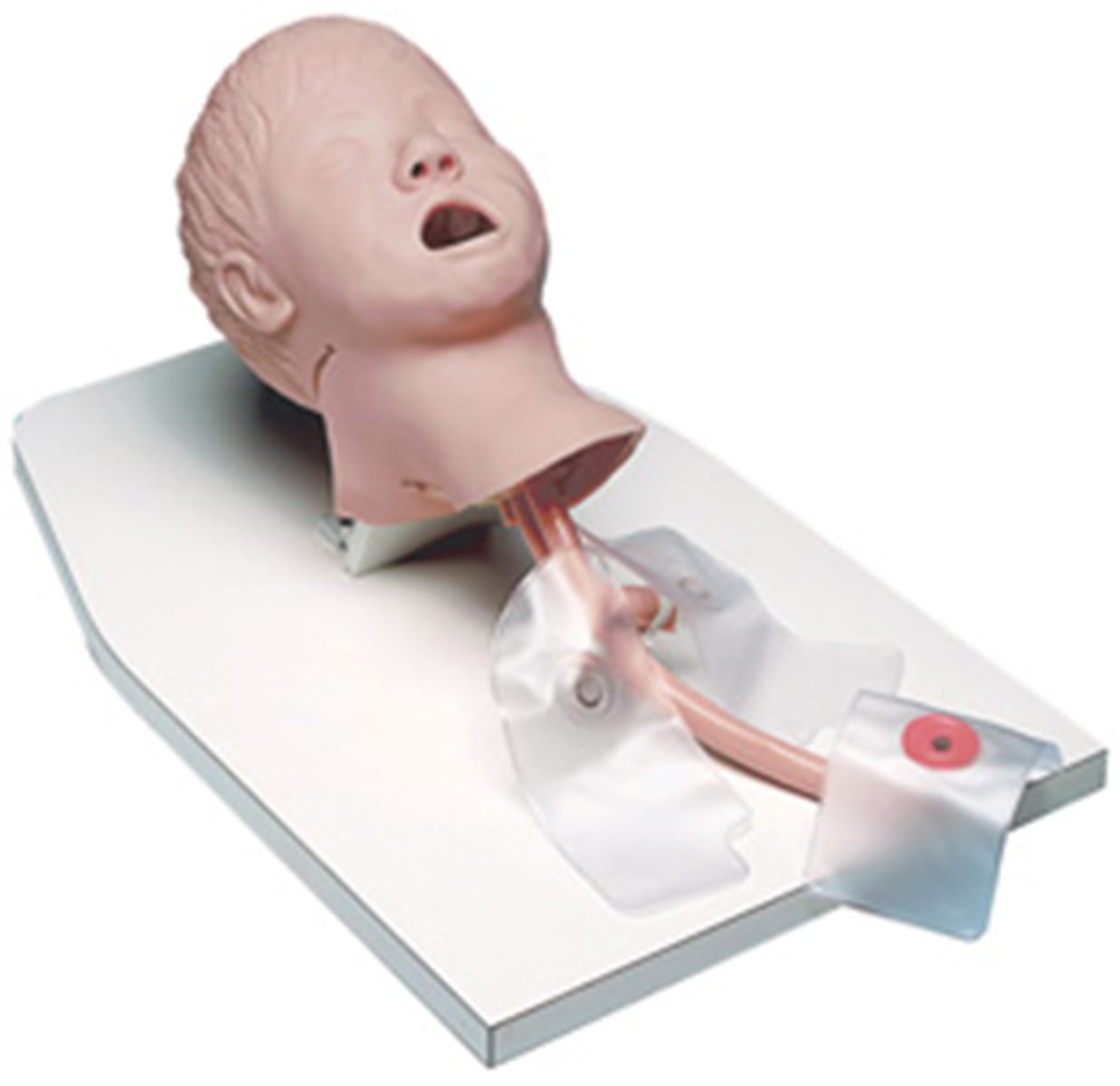 Life/form® Airway Larry Trainer