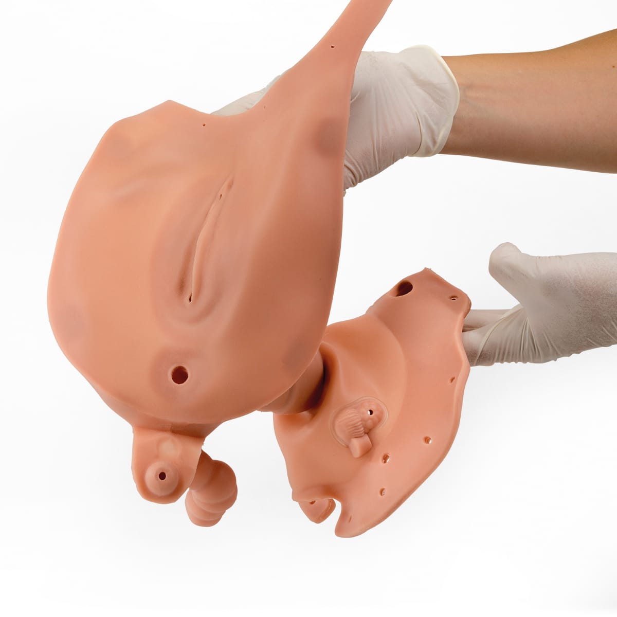 3B Scientific® Gynecologic Skills Trainer