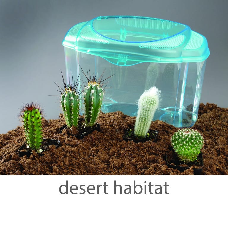 Wards® Mini-Habitat Terrarium Sets