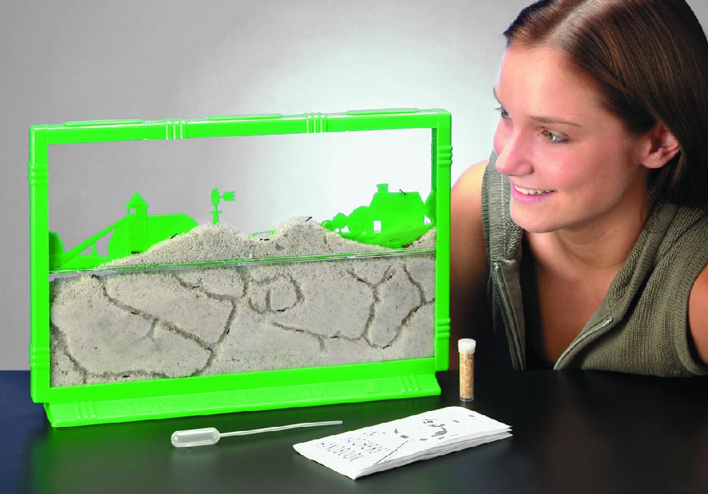 Ant Farm