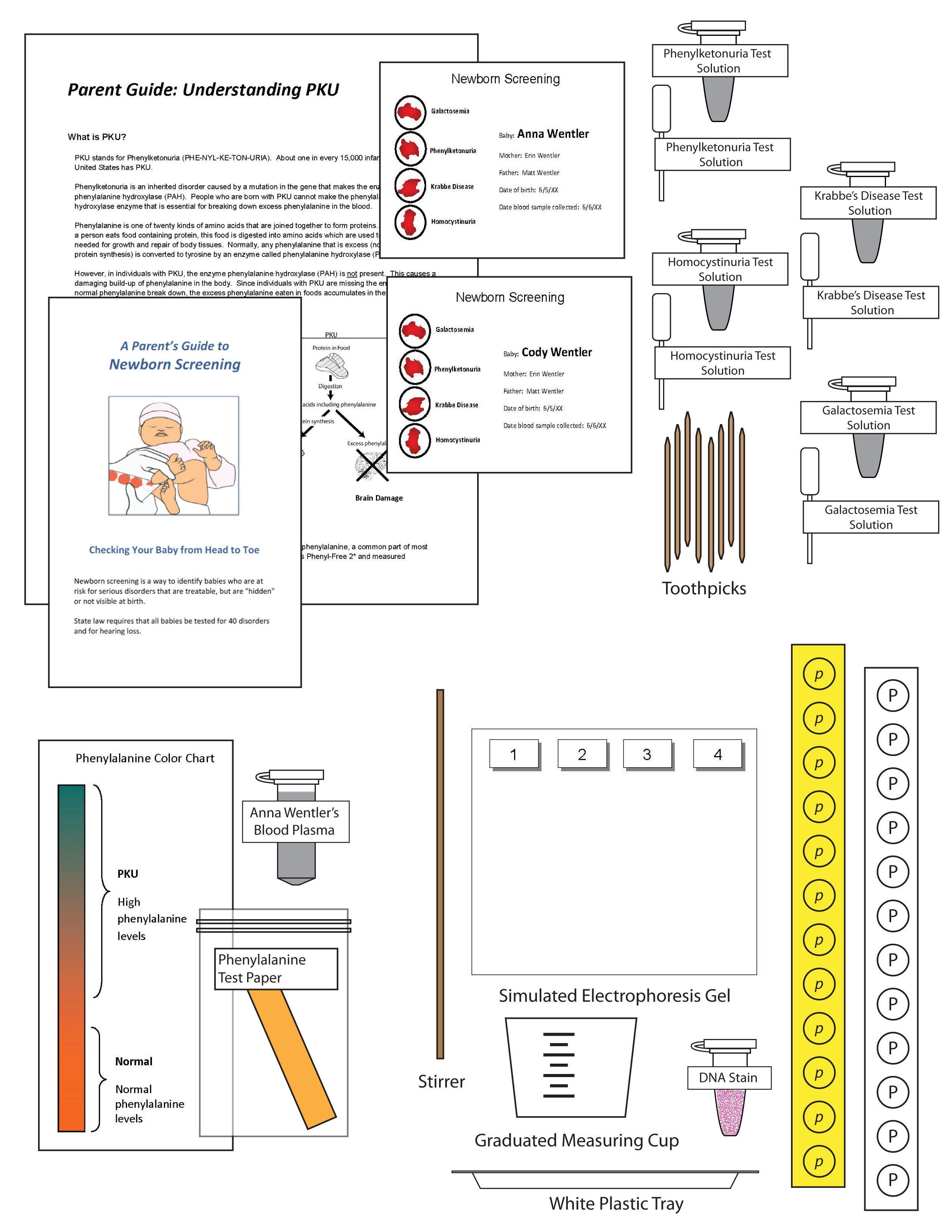 Science Take-Out® Testing For Genetic Disorders That Cause Brain Damage