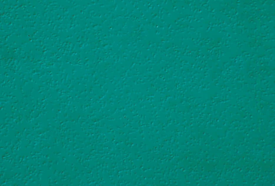 Ward's® Live Enterobacter aerogenes Culture
