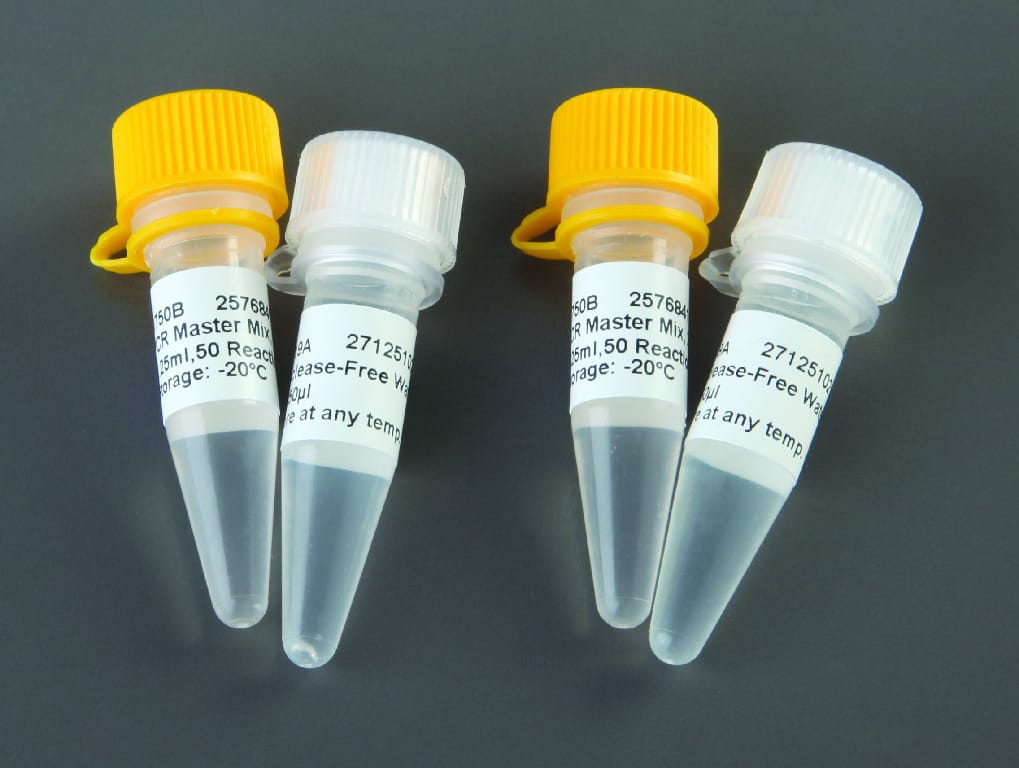 Promega® PCR Master Mix (2x)*