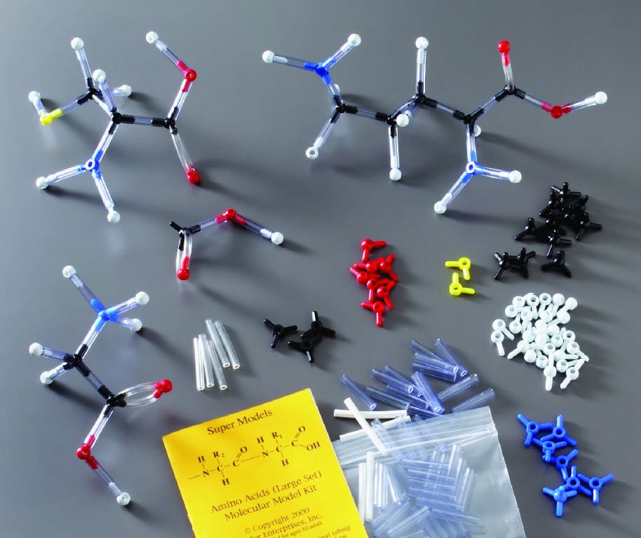 Amino Acids SuperModel Kit