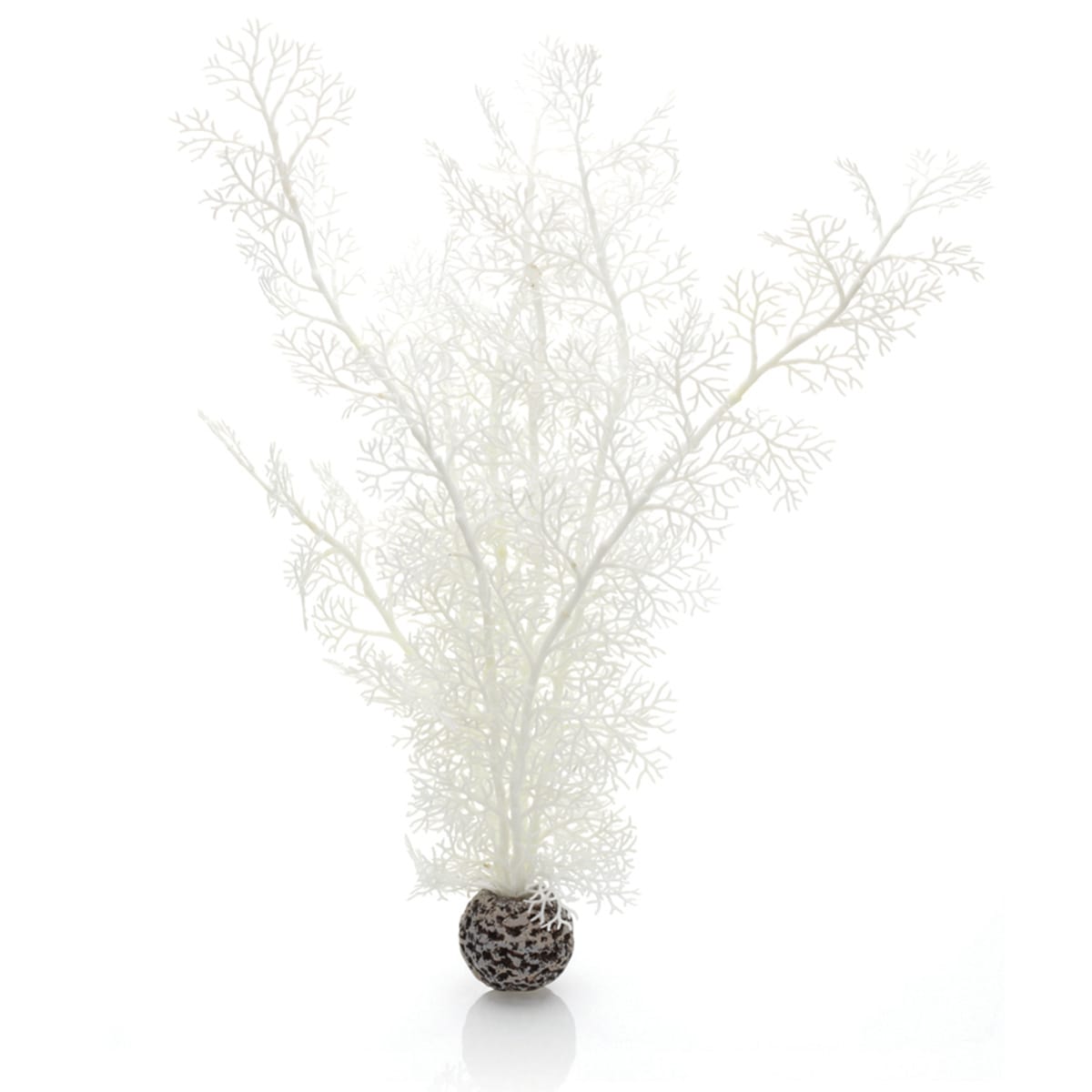 biOrb® Individual Plants