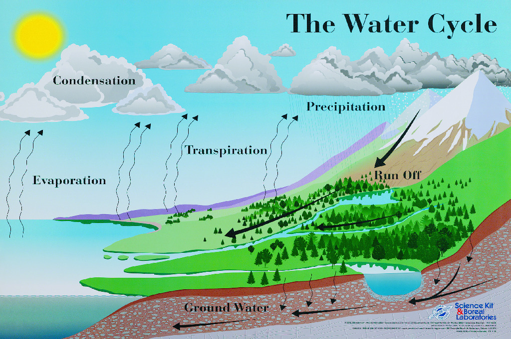 Water Cycle Poster
