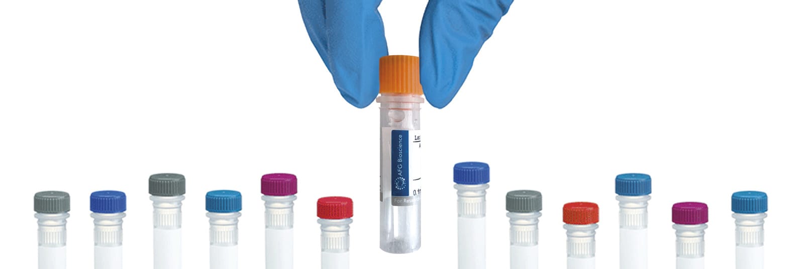 Anti-ARF6 Rabbit Polyclonal Antibody | VWR, part of Avantor