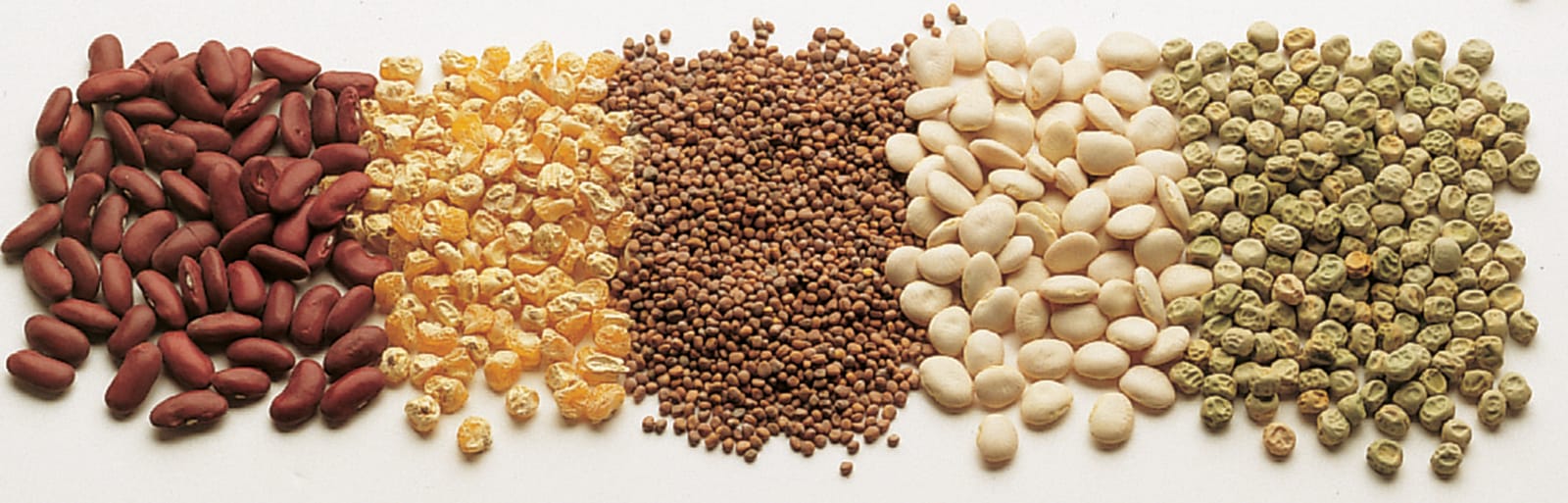 Viable Pea Seeds