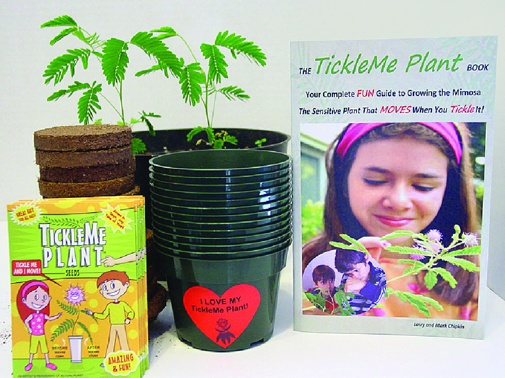 Tickleme Plants