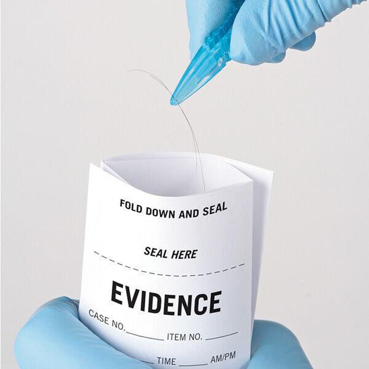 Trace Evidence Envelopes
