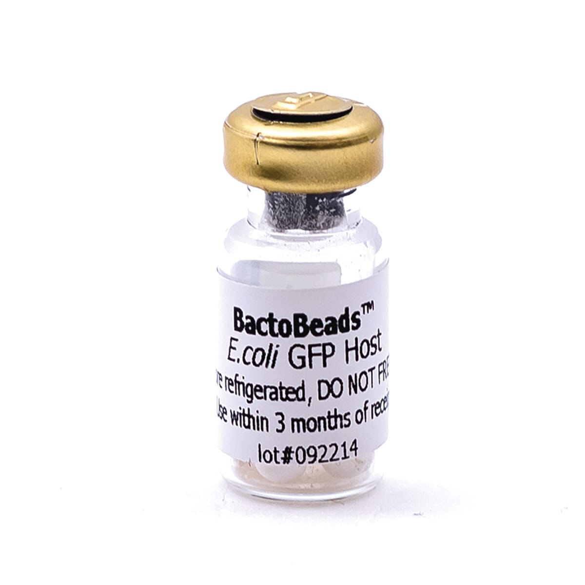 Edvotek BactoBeads™ Lyophilized Bacteria