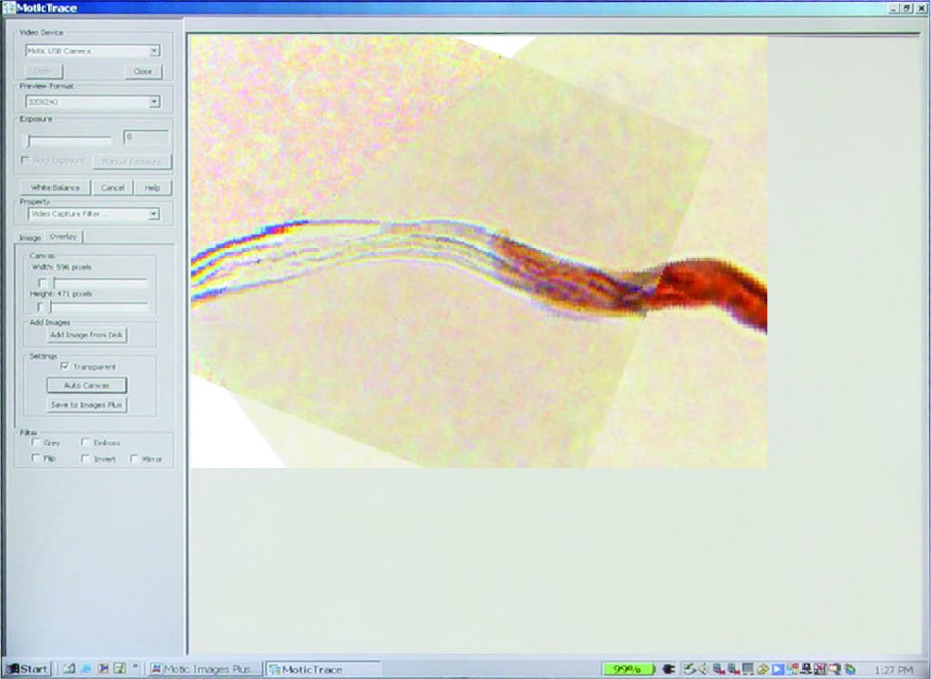 Motic Trace Forensic Comparison Software