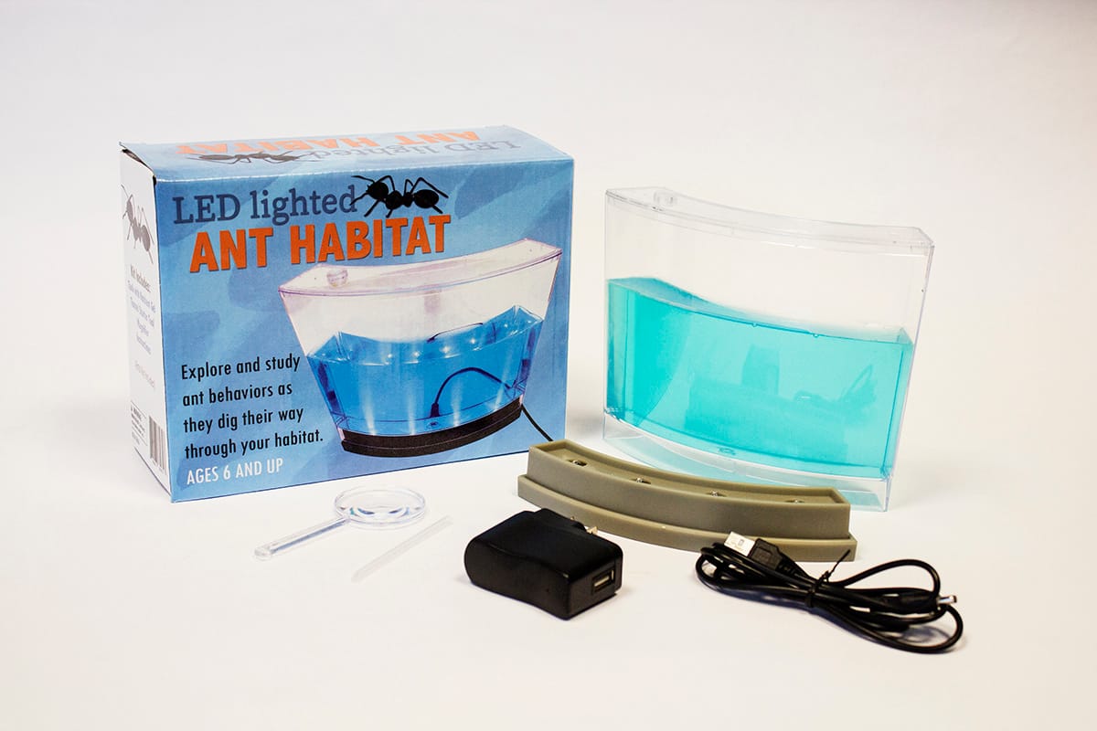 Ant Habitats