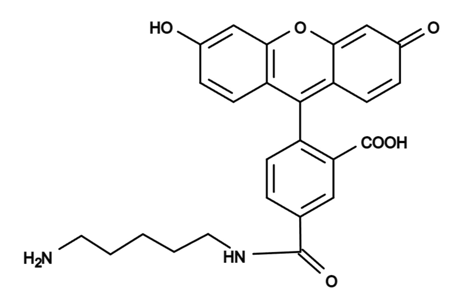 5-FAM cadaverine ≥95% | VWR, part of Avantor