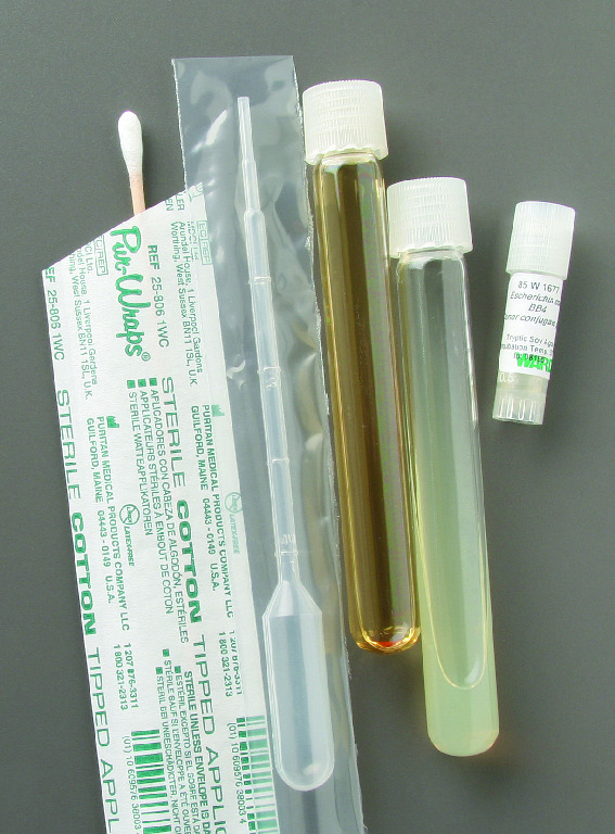Ward's® Live <i>Escherichia coli </i>Conjugation Strains