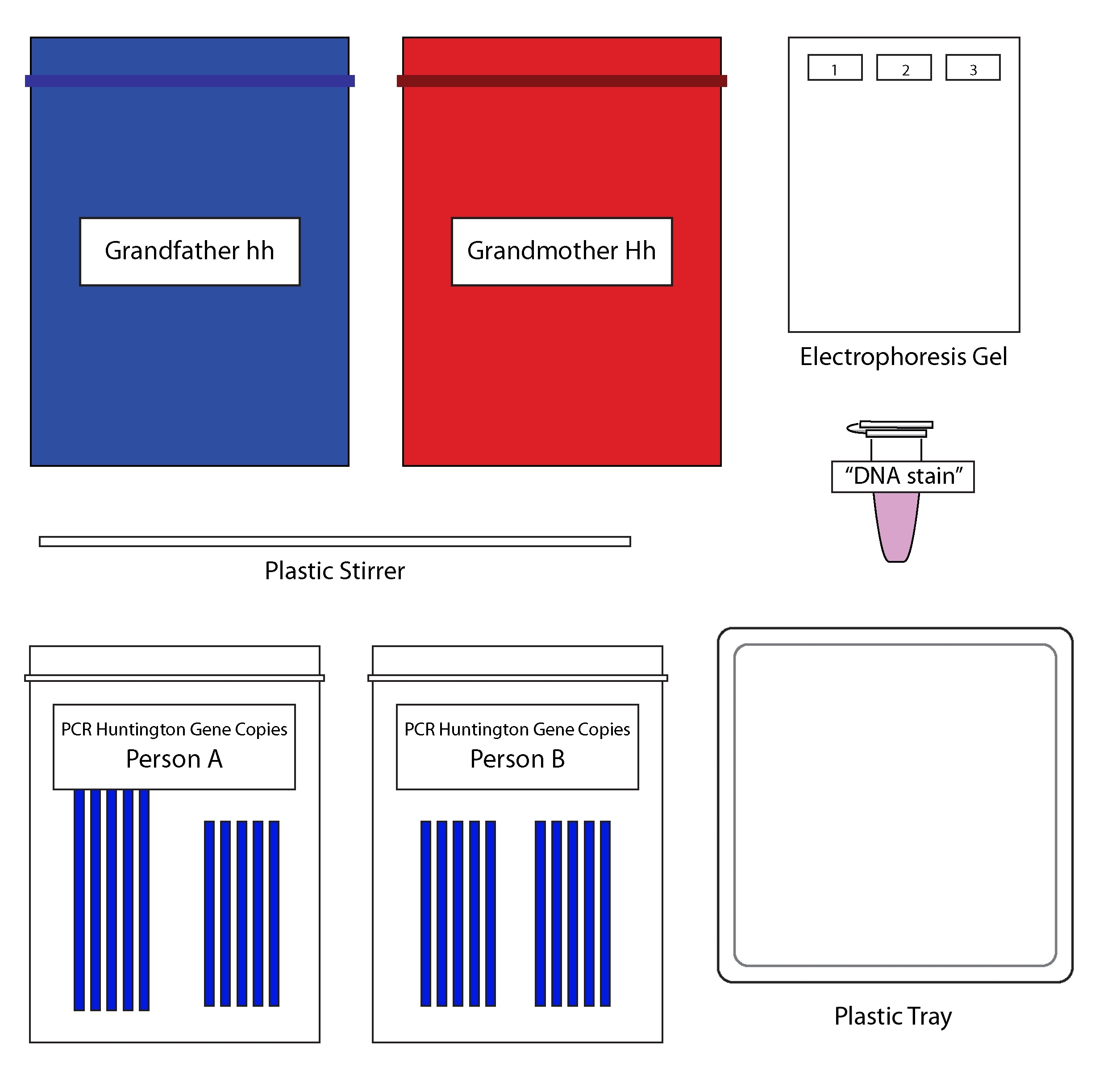 Science Take-Out® Genetic Testing For Huntington's Disease