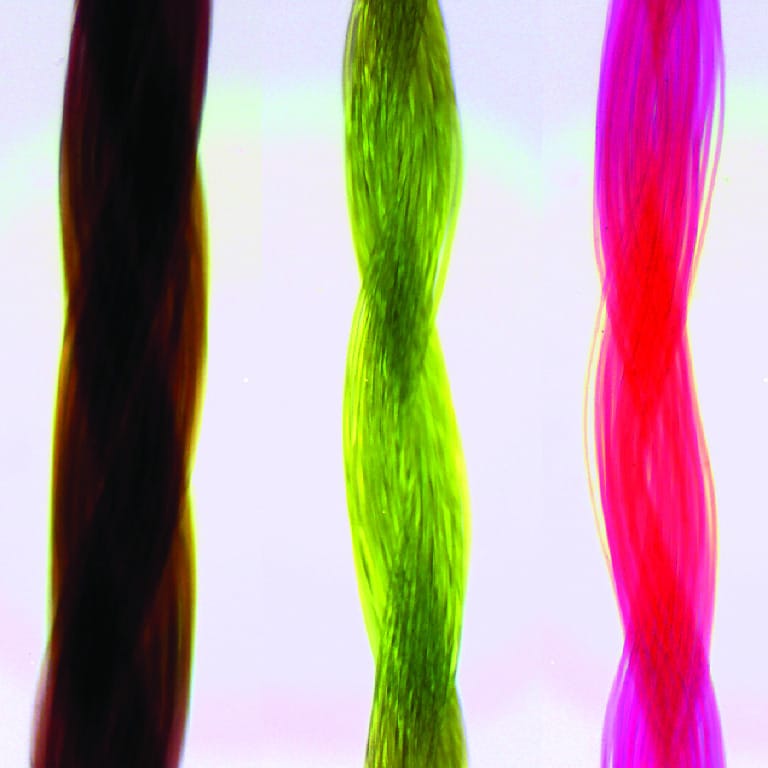 Ward's® Fiber and Hair Comparison Slides