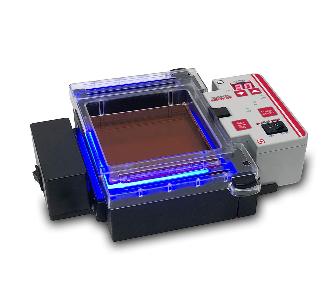 Ward's® InstaView Electrophoresis Systems