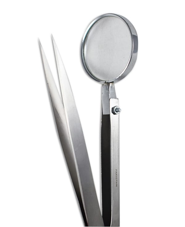 Forceps With Magnifier