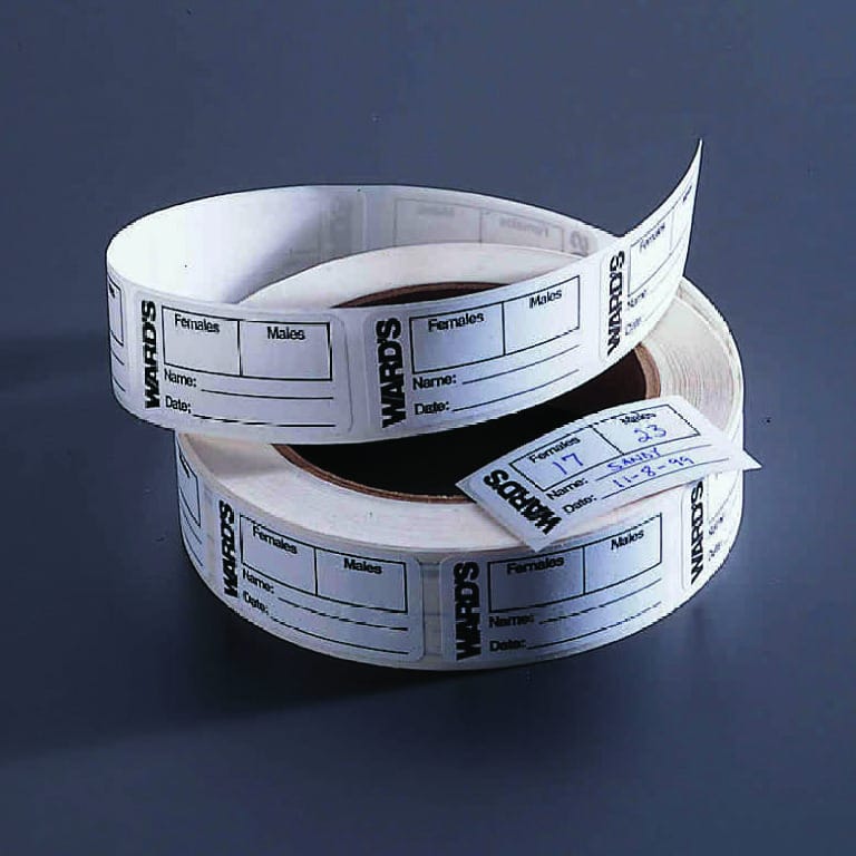 Vial Labels for Drosophila Crosses,