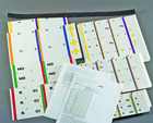Ward's® Ion Chemchips Game