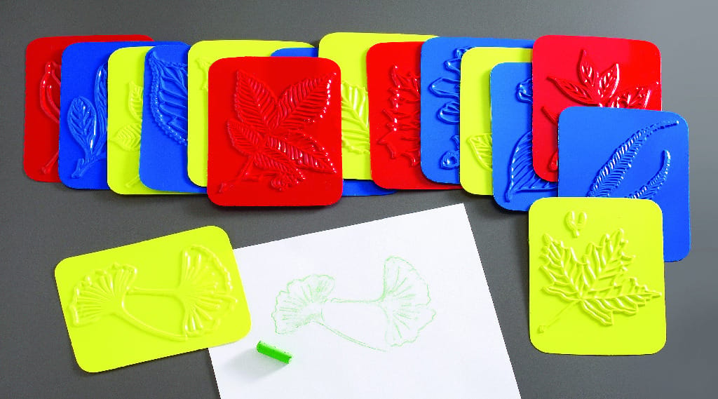Leaf Rubbing Plates