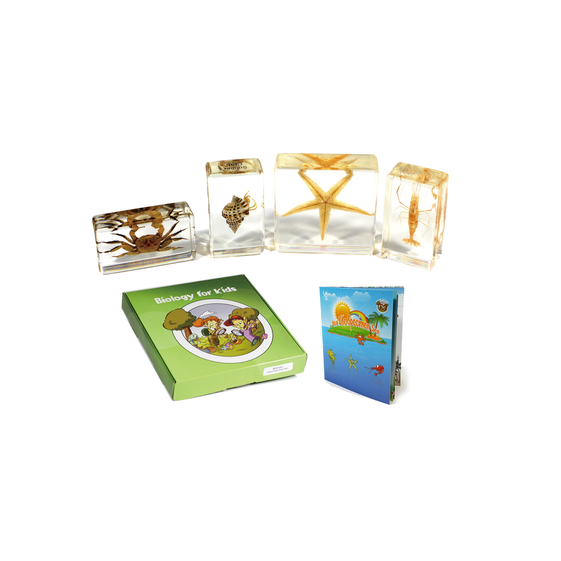 Sea Life Plastomount Set of 4 (Version 2)