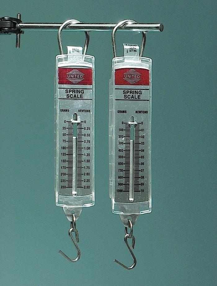 Economy Spring Scales