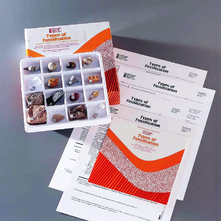 Ward's® GEO-Logic Types of Fossilization Topic Set