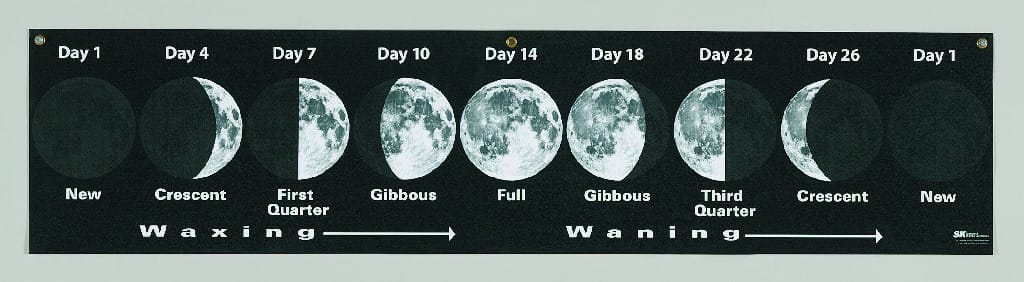 Lunar Cycle Banner