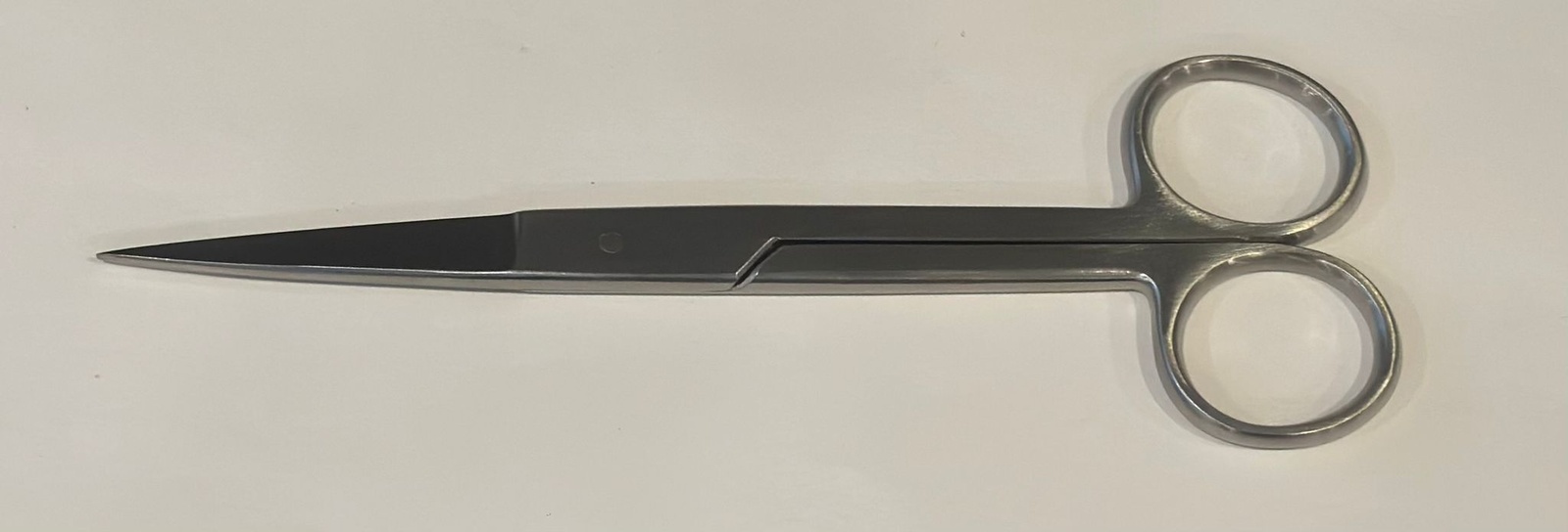 Surgical Style Scissors
