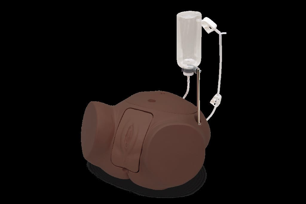 3B Scientific® Catheterization Trainers
