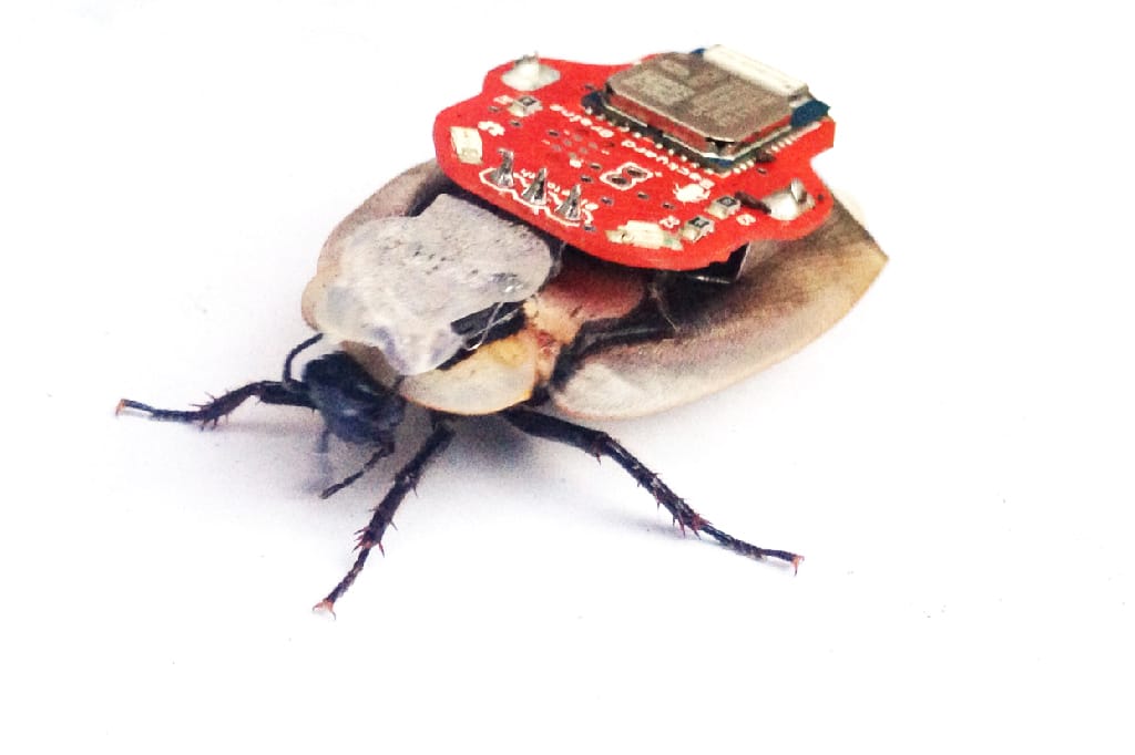 Backyard Brains® The RoboRoach