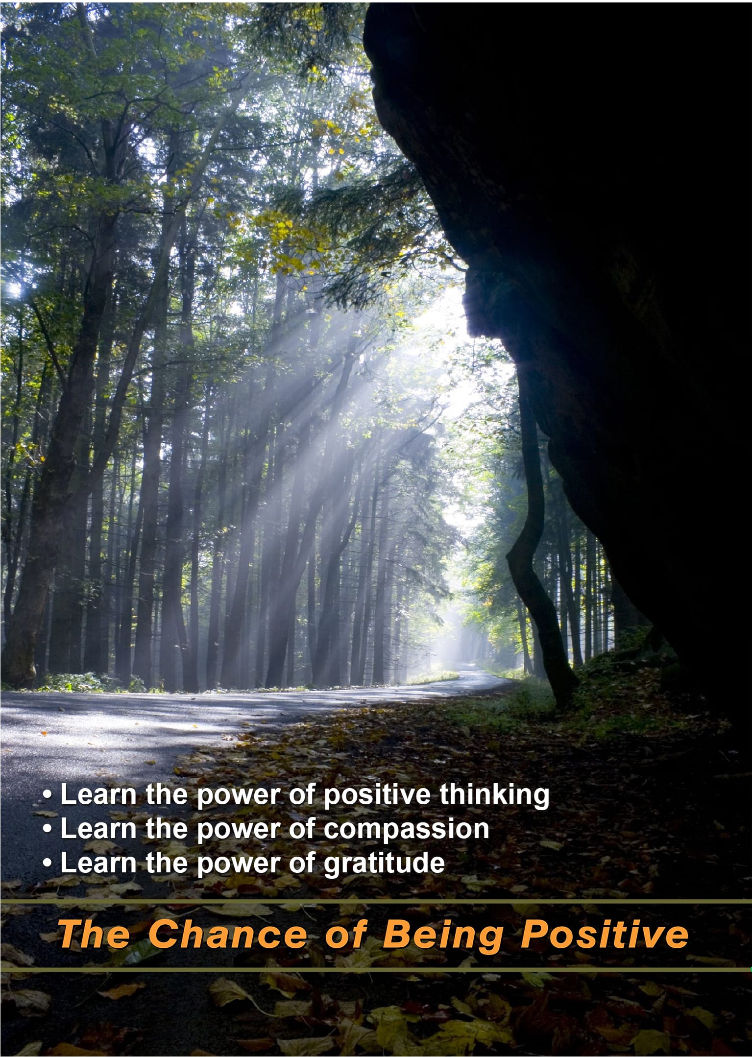 The Wellness Video Series