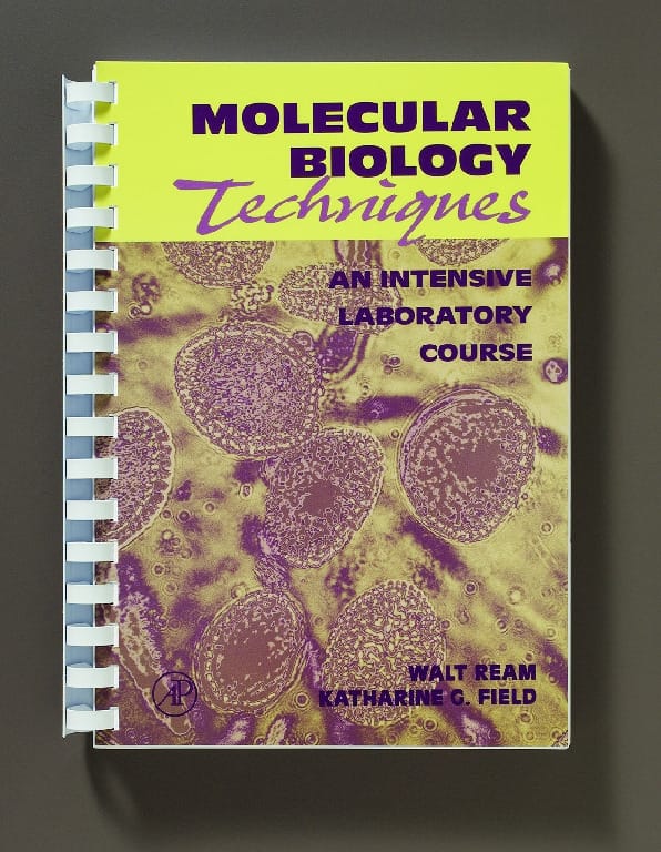 Molecular Biology Techniques: An Intensive Laboratory Course