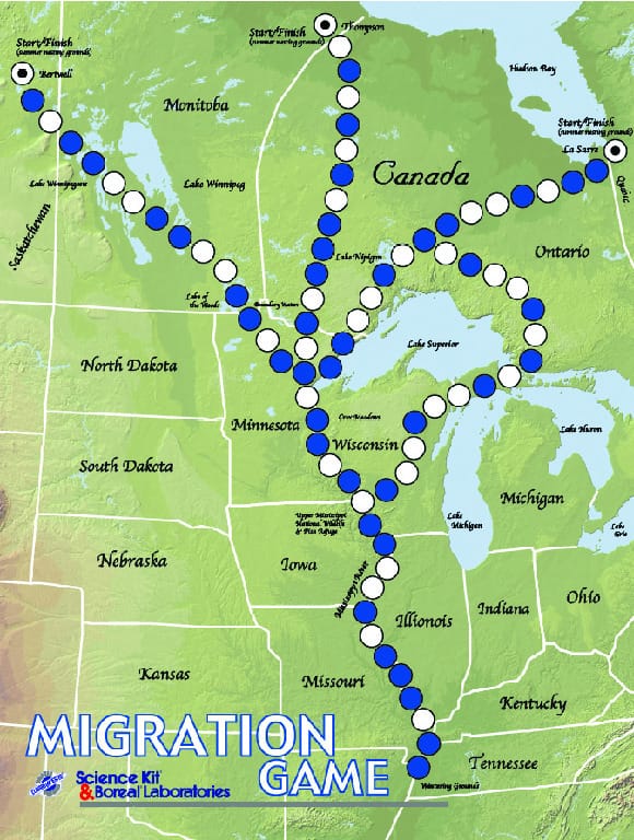 Migration Game